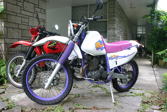 My Yamaha TTR250